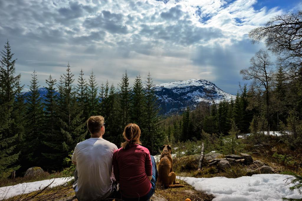 Jolstraholmen Camping Og Hytter Vassenden Luaran gambar